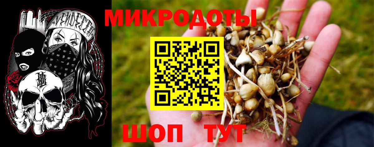 Свободный  Галлюциногенные грибы мухоморы  Вход с VPN  Псилоцибиновые грибы мицелий 